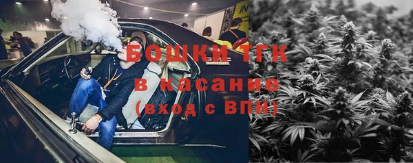 дурь Грязовец