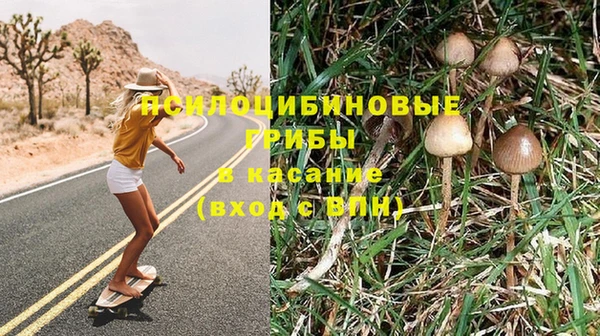 альфа пвп Алексеевка