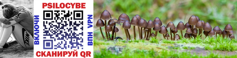 Псилоцибиновые грибы мицелий  Заполярный 